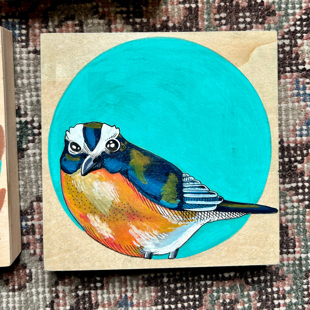 White-Browed Scrub Jay: Original Ink & Acrylic Illustration on Wood