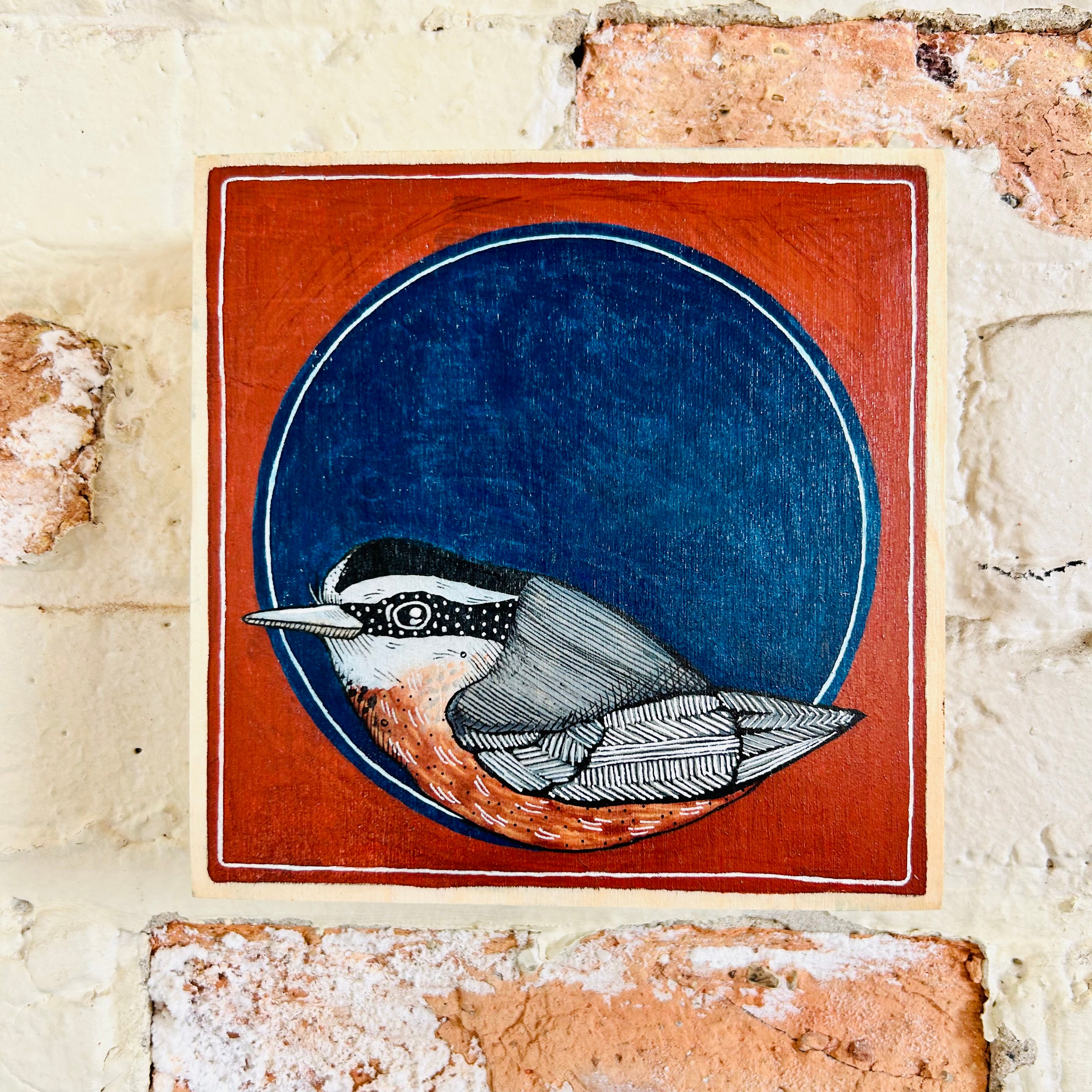 Nuthatch original illustration