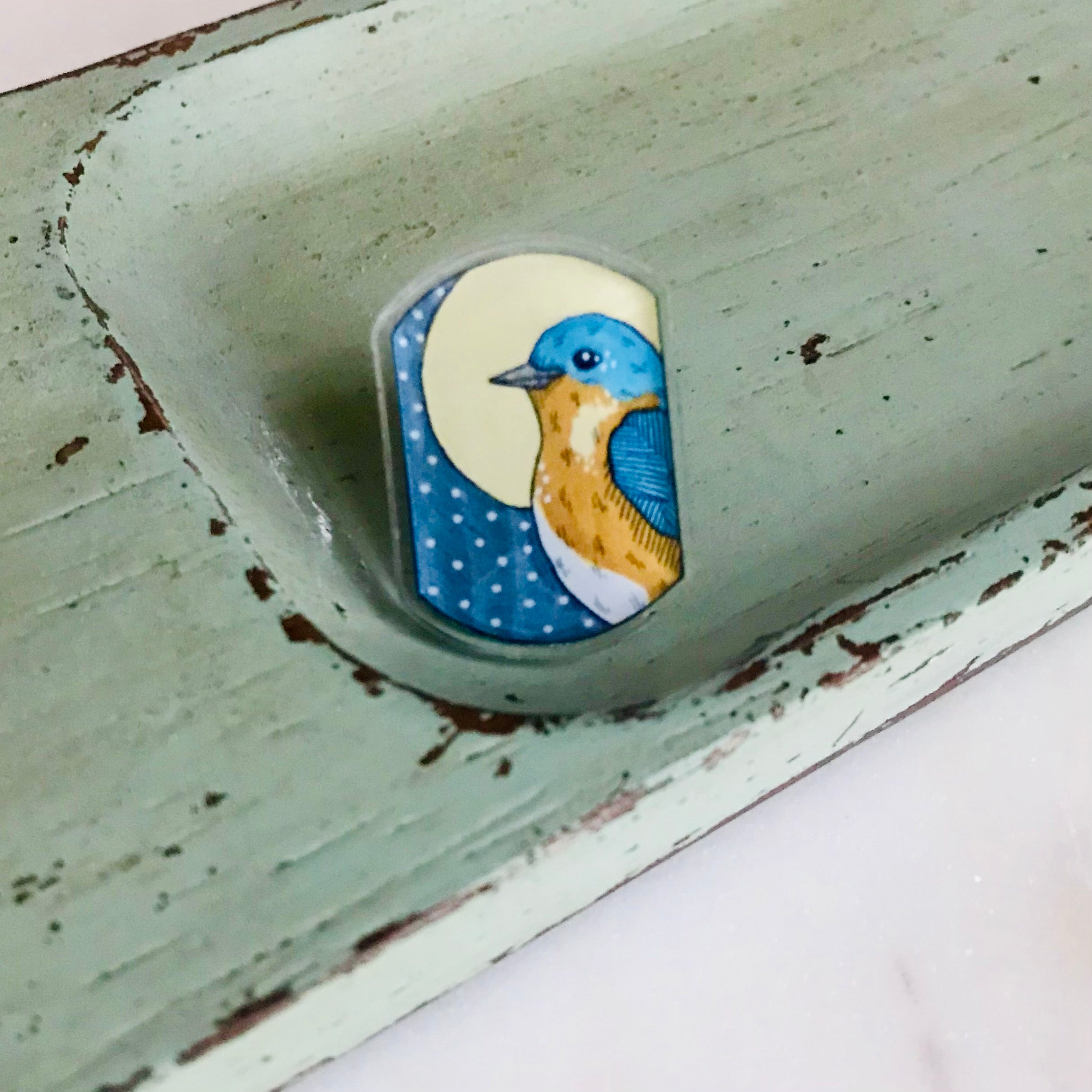 Bluebird Acrylic Pin